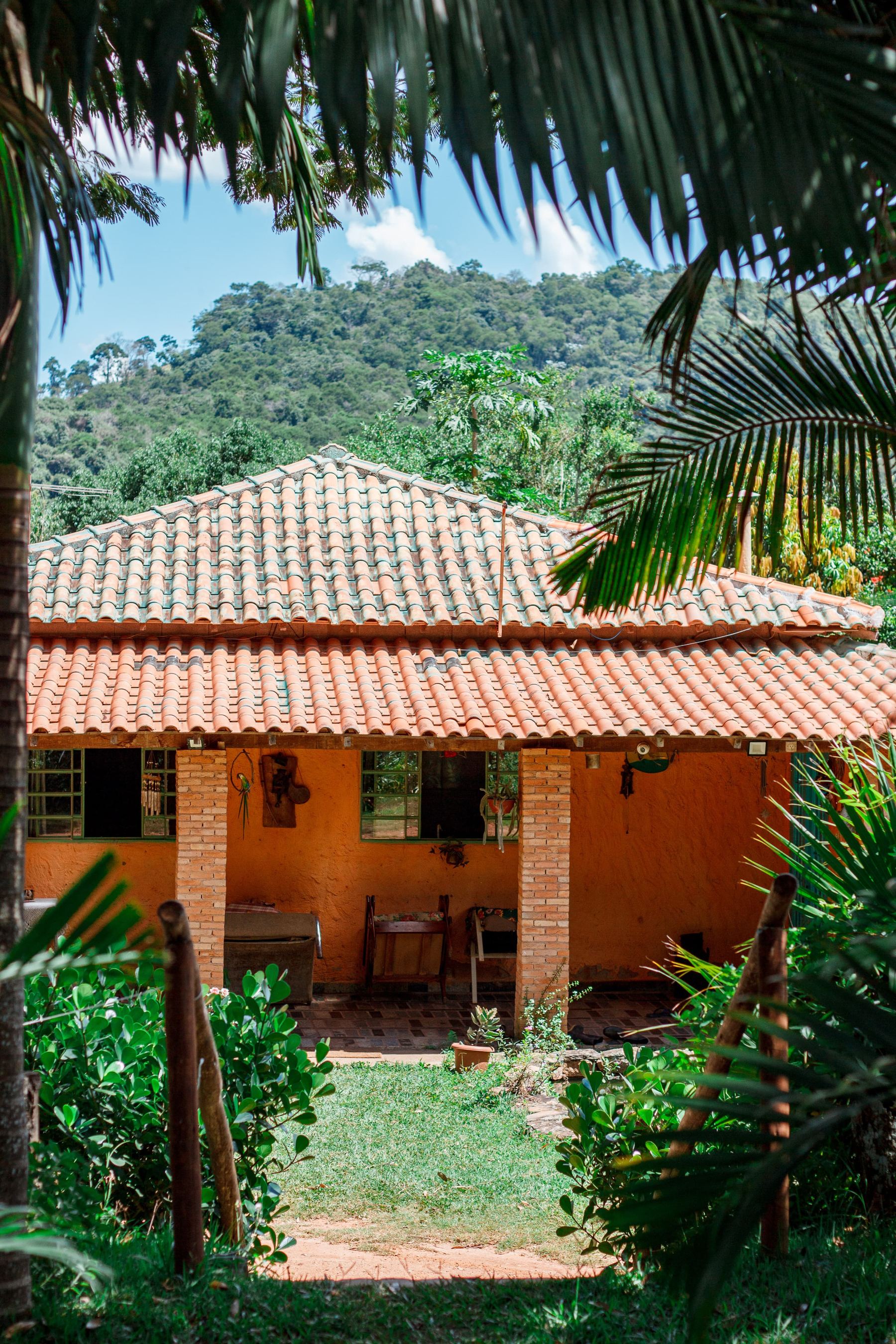 Casa principal do sítio entre as palmeiras